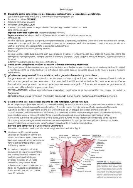 Embriología 