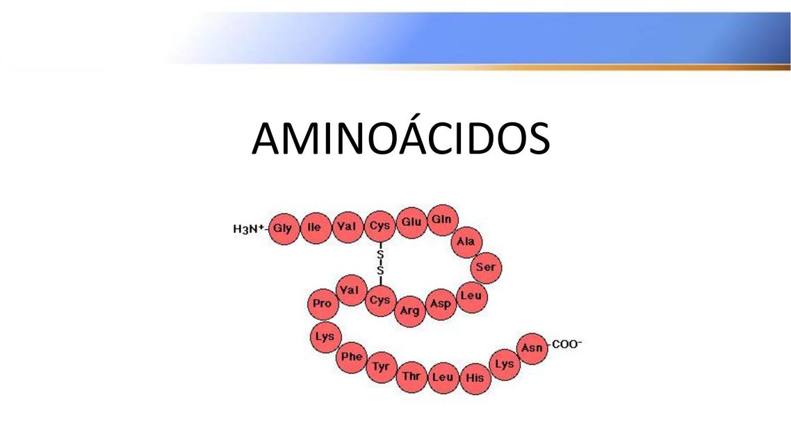 Aminoácidos 