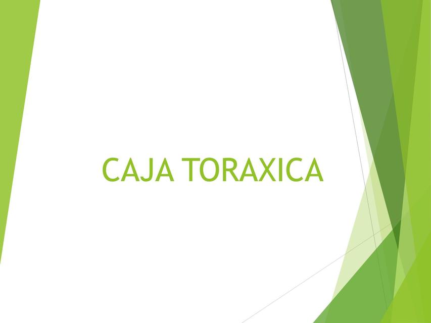 Caja Torácica 