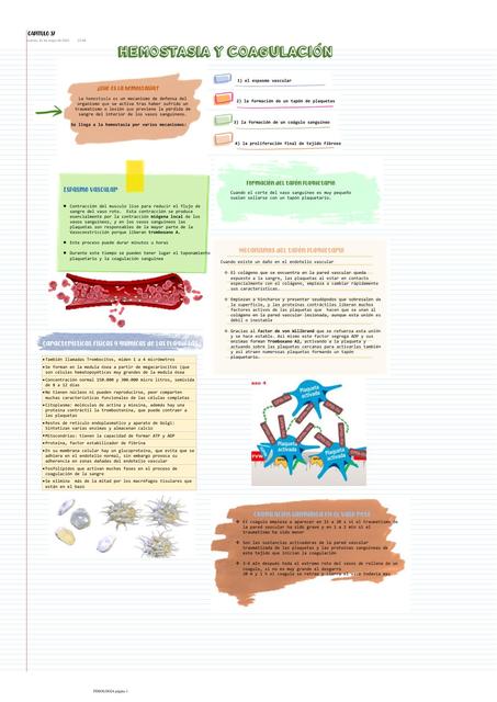 Hemostasia y Coagulación 