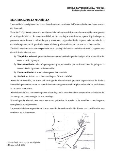 Desarrollo de la Mandíbula 