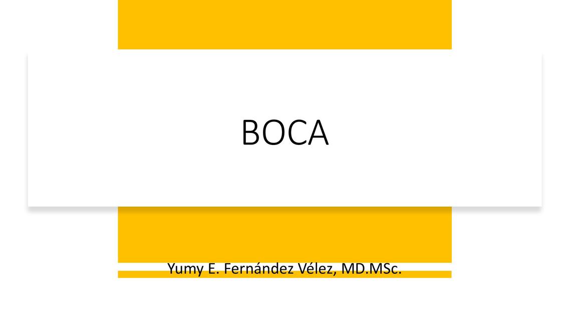 Boca