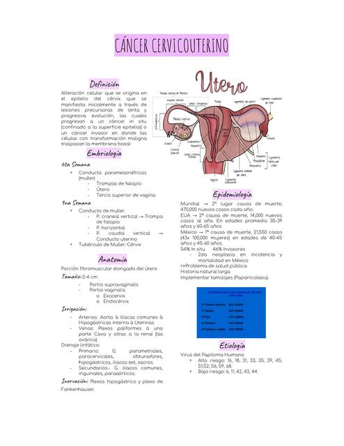 Cáncer Cervicouterino