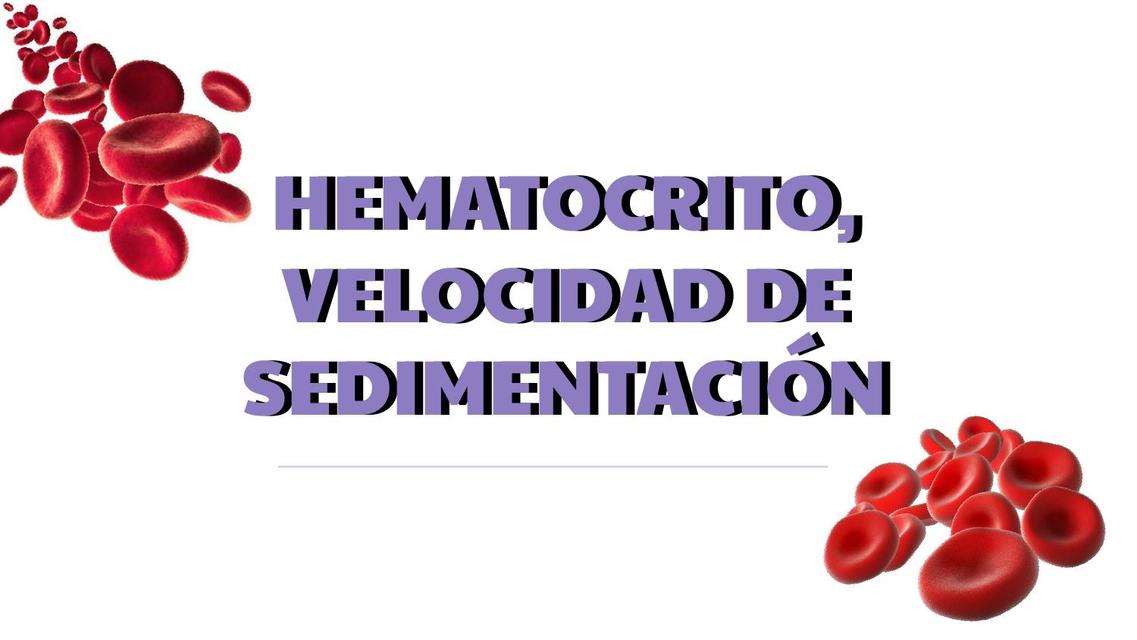 Hematocrito Velocidad de Sedimentación Alessandra Argote uDocz