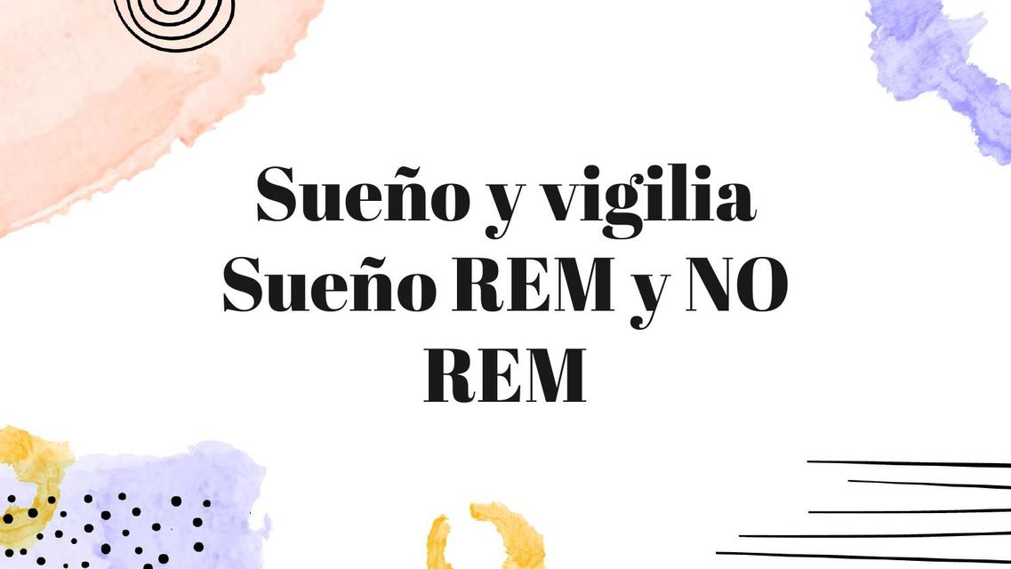 Sueño y Vigilia sueño REM y NO REM Alessandra Argote uDocz