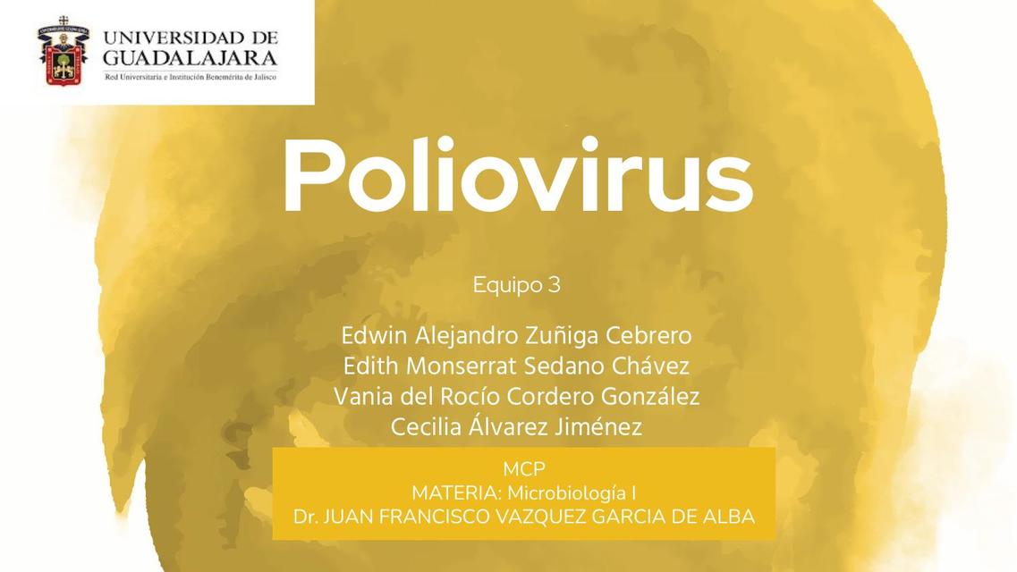 Poliovirus