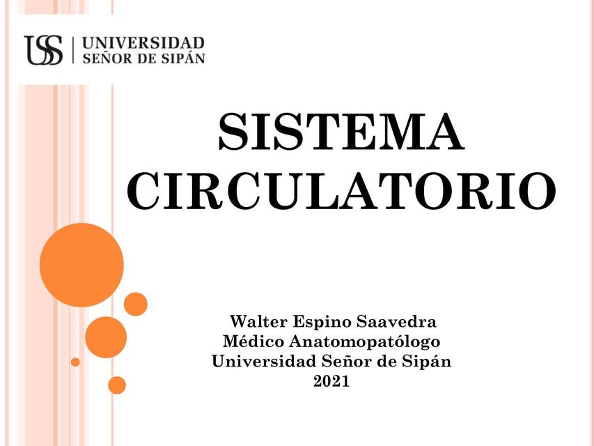 Sistema Circulatorio 