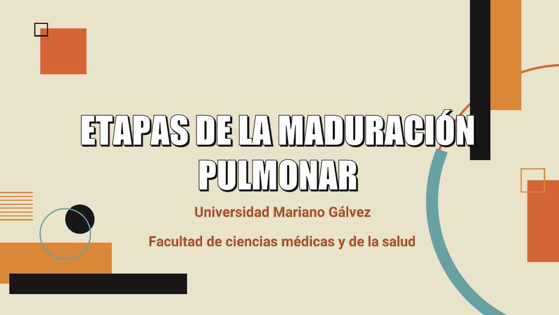 Etapas de la Maduración Pulmonar