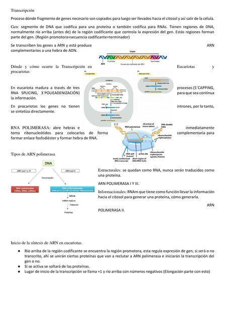 Biología celular