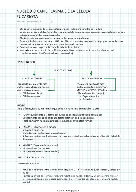 Núcleo o Carioplasma de la Célula Eucariota