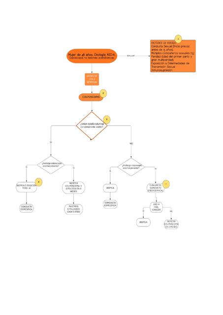 Algoritmo de Lesión Escamosa Intraepitelial de Alto Riesgo