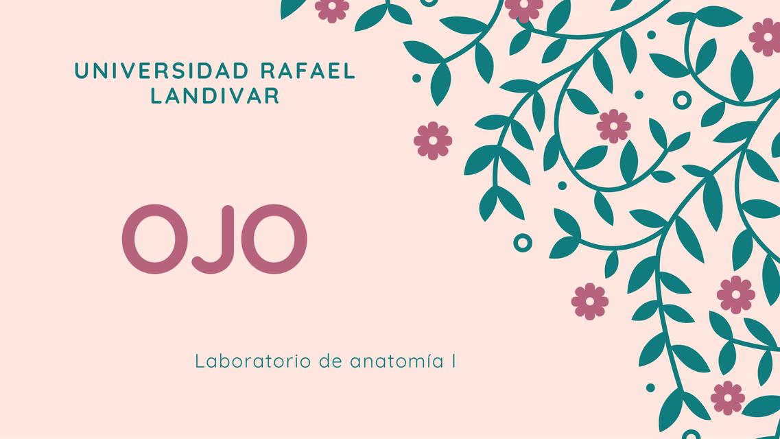 Visión Dulce Rosales Udocz