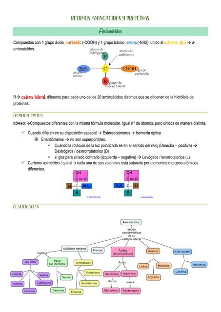 Resumen Aminoácidos y Proteínas 