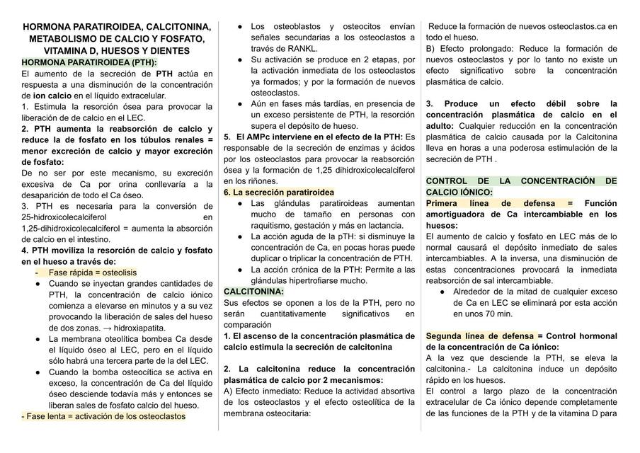 Hormona Paratiroidea, Calcitonina, Metabolismo de Calcio y Fosfato, Vitamina D, Huesos y Dientes