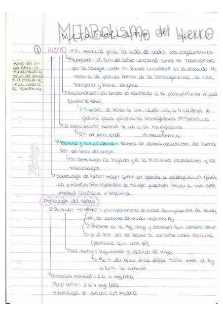 Metabolismo del hierro