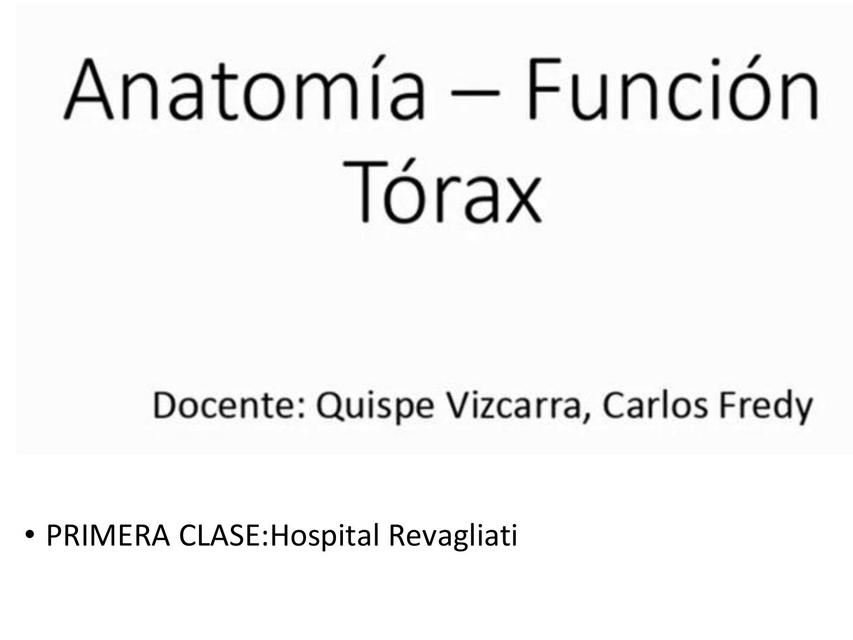 Anatomía Función Tórax 