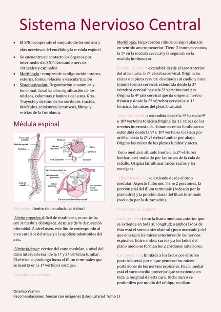 Sistema Nervioso Central