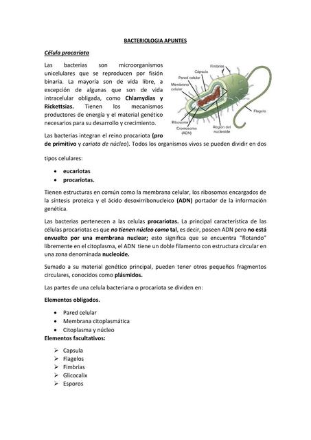 Bacteriología 