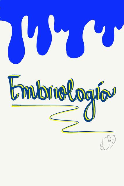 Embriología del sistema gastro intestinal 