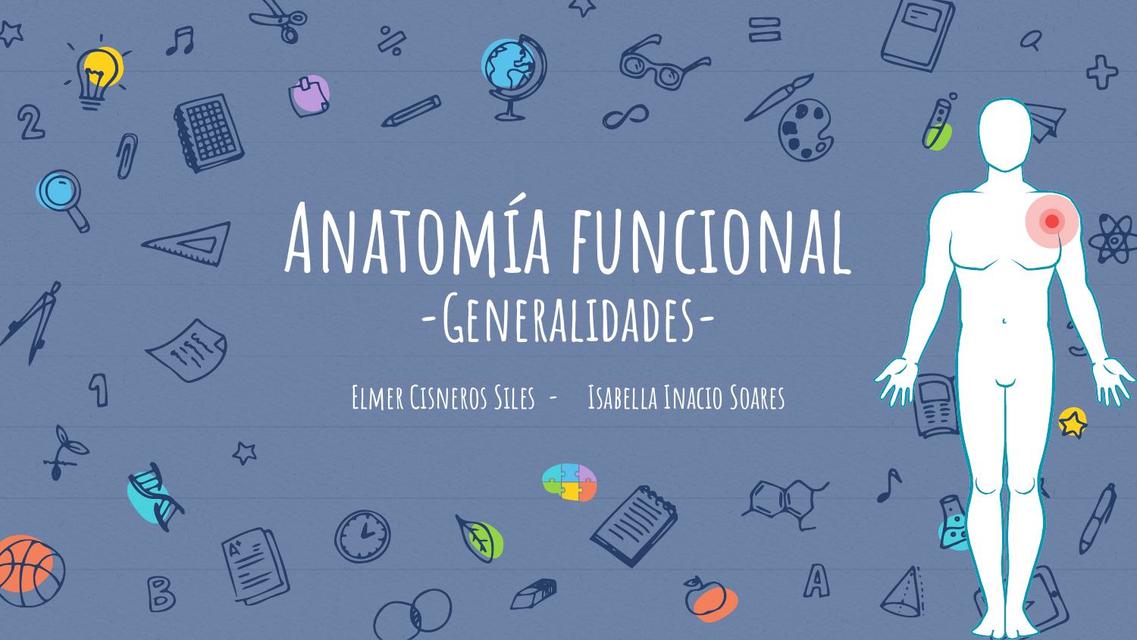 Anatomía - clase 1