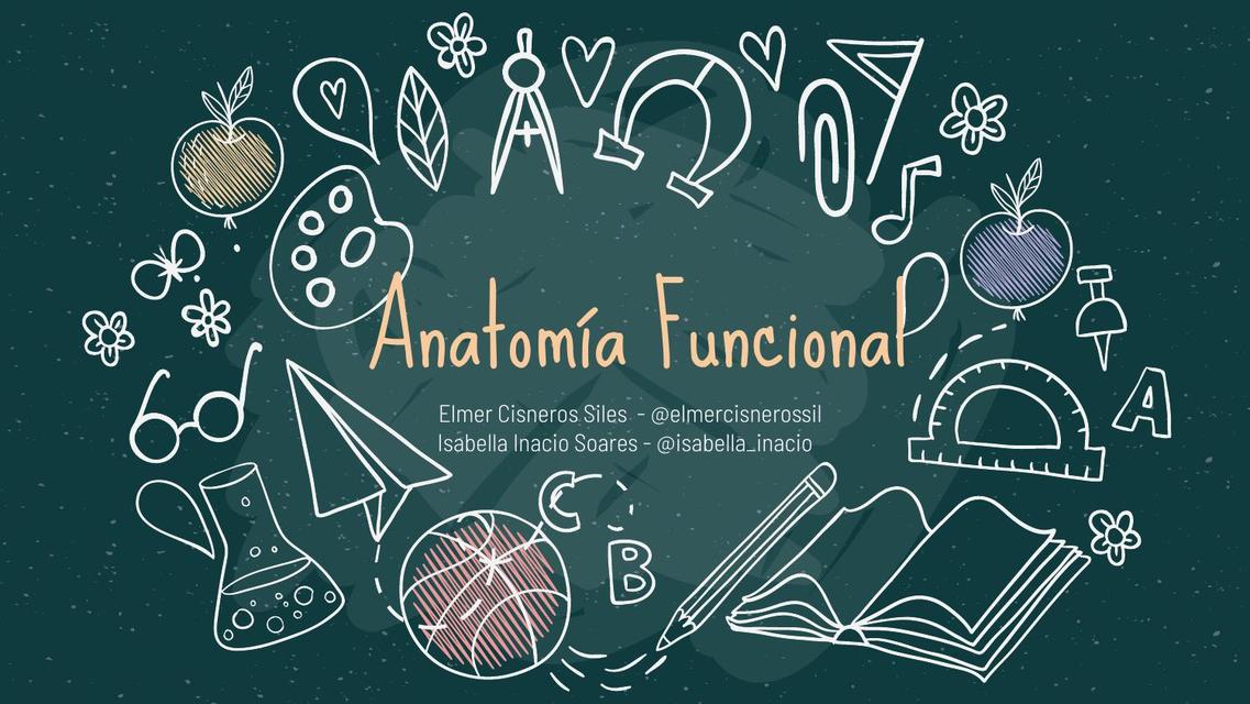 Anatomia - clase 2