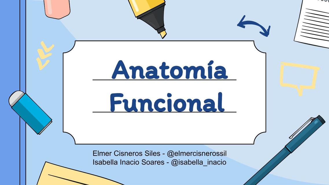  Anatomia - clase 3