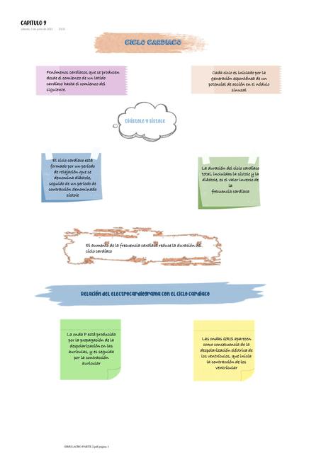 Ciclo Cardíaco