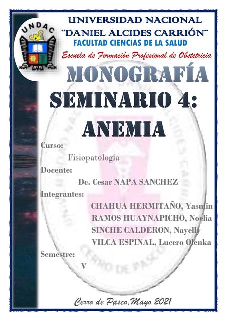 Monografía sobre Seminario N 4 Anemia