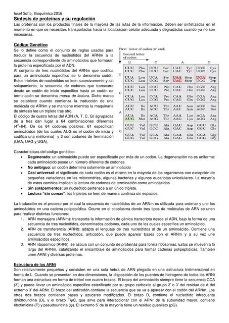 Síntesis de proteínas y su regulación