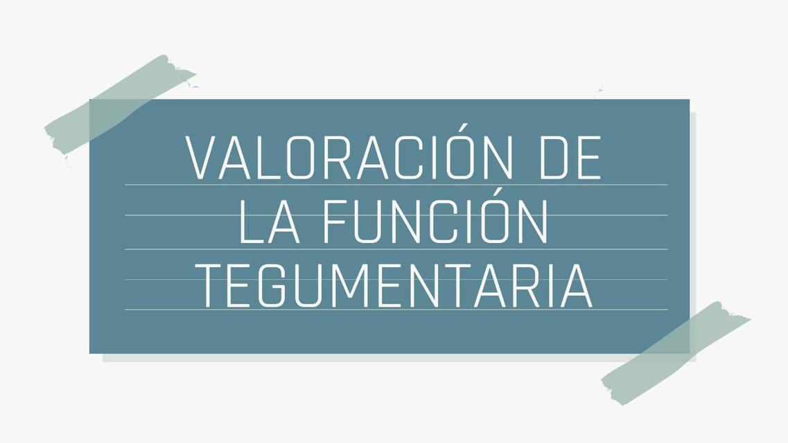 Valoración de la Función Tegumentaria 