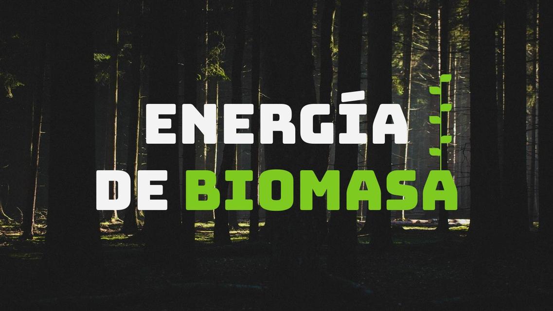 Energía de Biomasa y su uso en Panamá