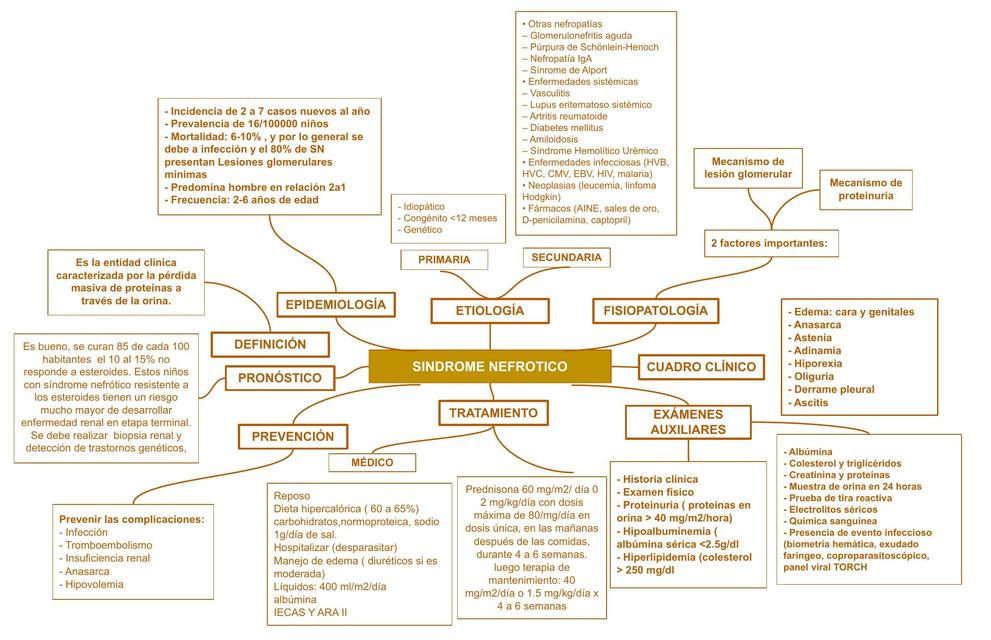 Síndrome Nefrótico 
