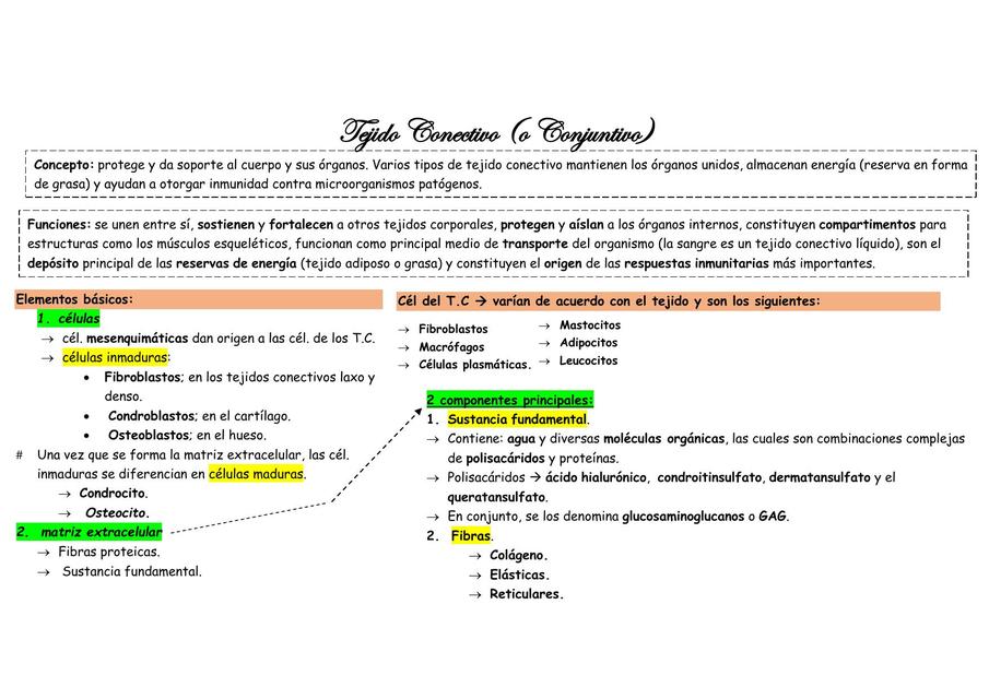 Tejido Conectivo
