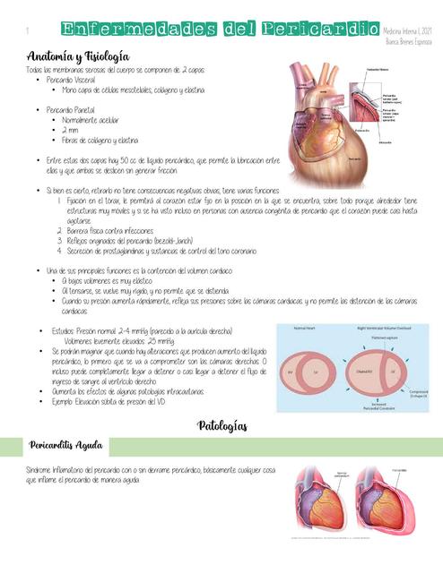 Enfermedades del Pericardio