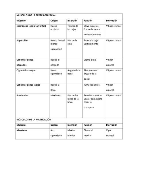 Músculos de la Expresión Facial 