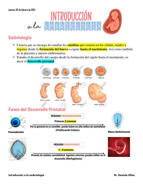 Introducción a la Embriología