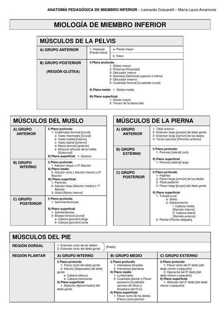 Cuadernillo miembro inferior 