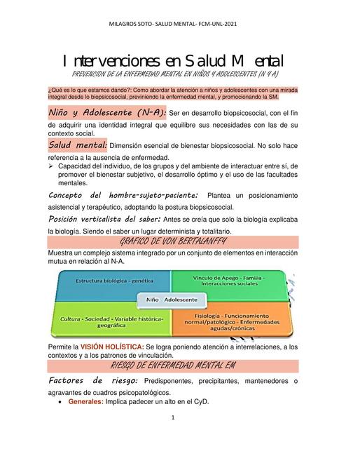 Intervenciones en Salud Mental