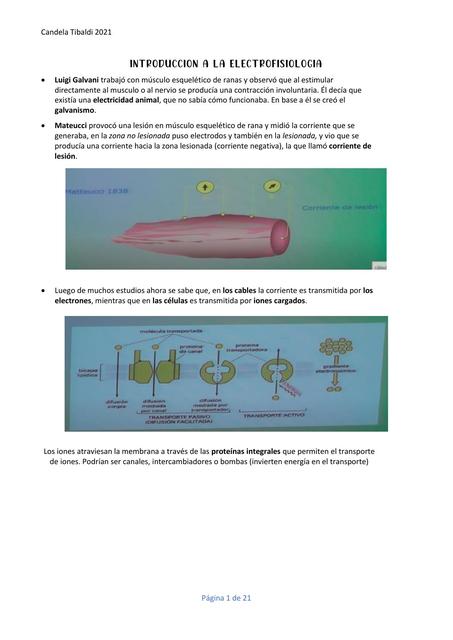 Introducción a la electrofisiología 