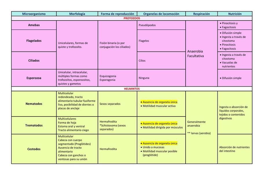 Parásitos Extraintestinales e Intraintestinales