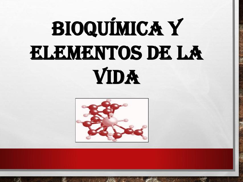 Bioquímica y Elementos