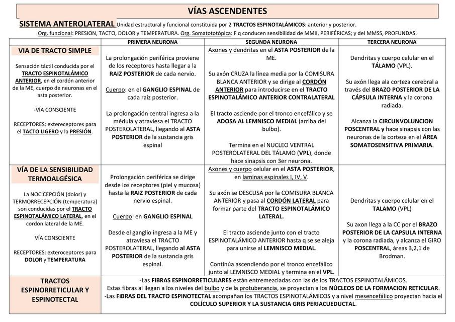 Vías de Conducción