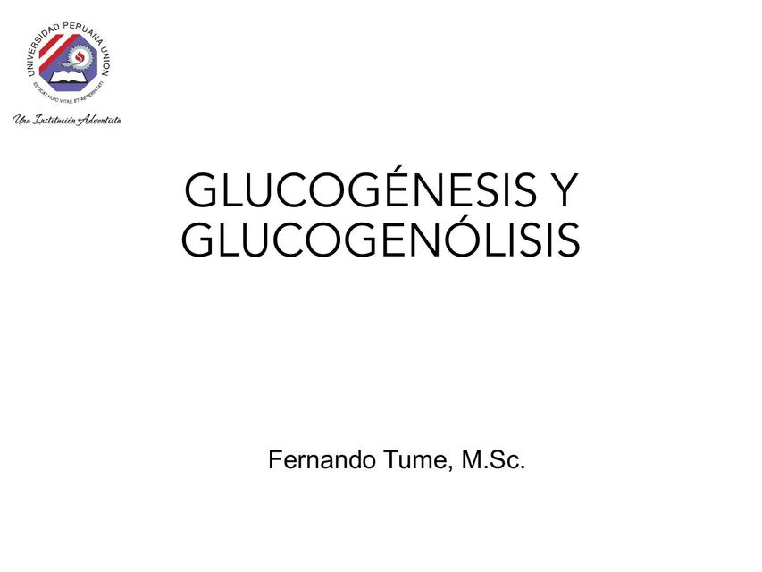 Glucogénesis y Glucogenólisis