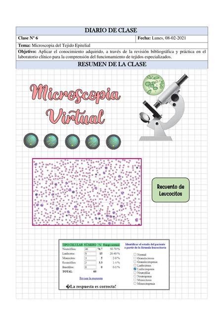 Microscopía Virtual | Karla Isabel | uDocz