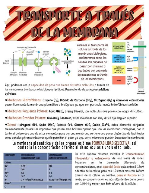 Transporte a Través de la Membrana