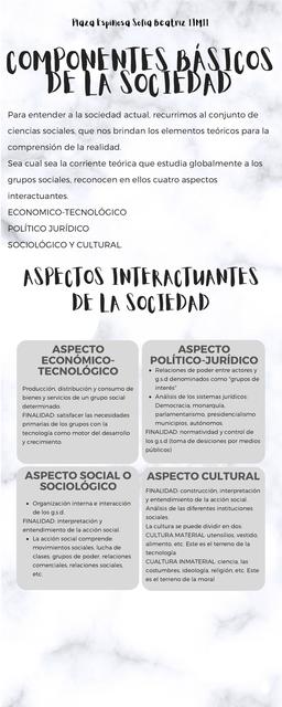 Componentes Básicos de la Sociedad