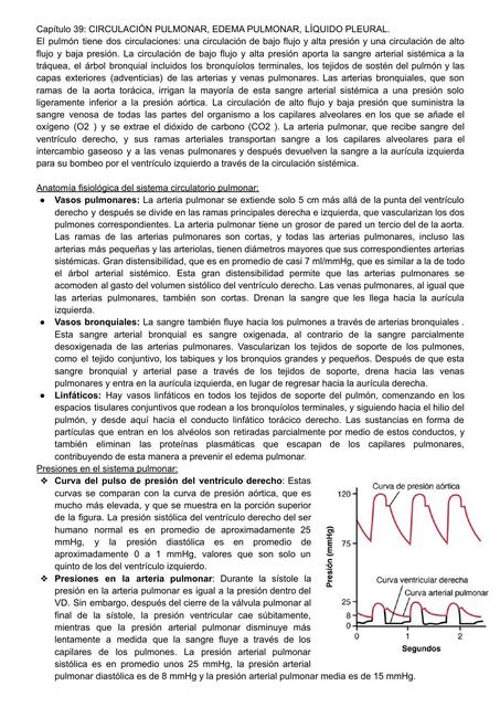 Circulación Pulmonar