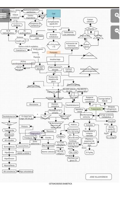 Cetoacidosis Diabetes