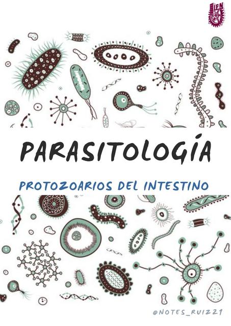 Protozoarios del Intestino