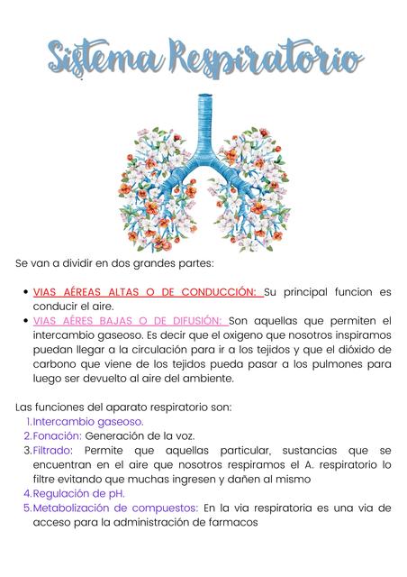 Sistema Respiratorio